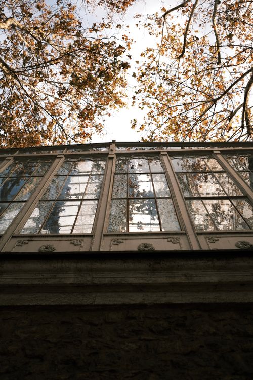 Free Low angle of a vintage building facade under autumn trees with glass windows reflecting the sky. Stock Photo