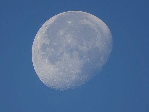 Free Detailed view of the moon during the day with a clear blue background. Stock Photo