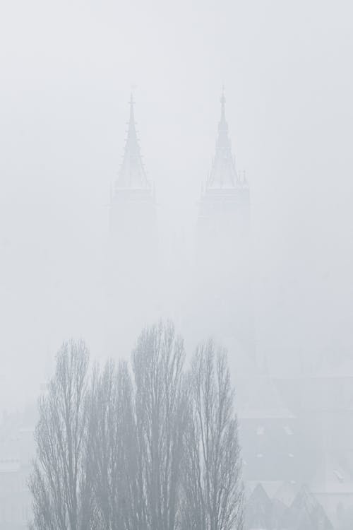 Bare Trees Near Towers on Winter