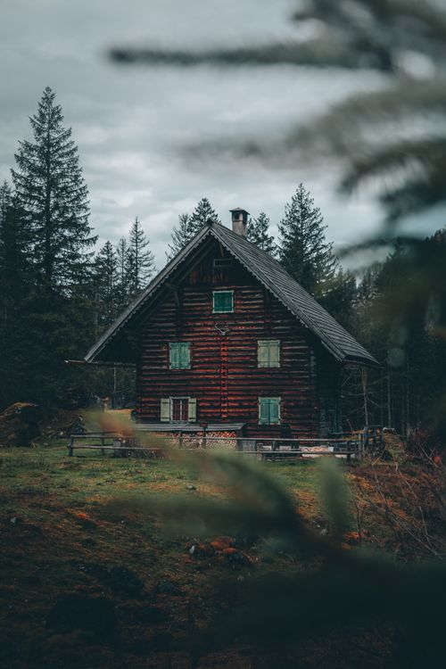 Free Charming wooden cabin surrounded by towering pine trees in a misty forest setting. Stock Photo