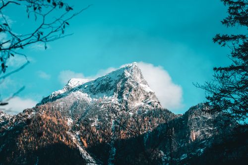 Free Stunning view of a snow-capped mountain peak against a bright blue sky framed by trees. Stock Photo