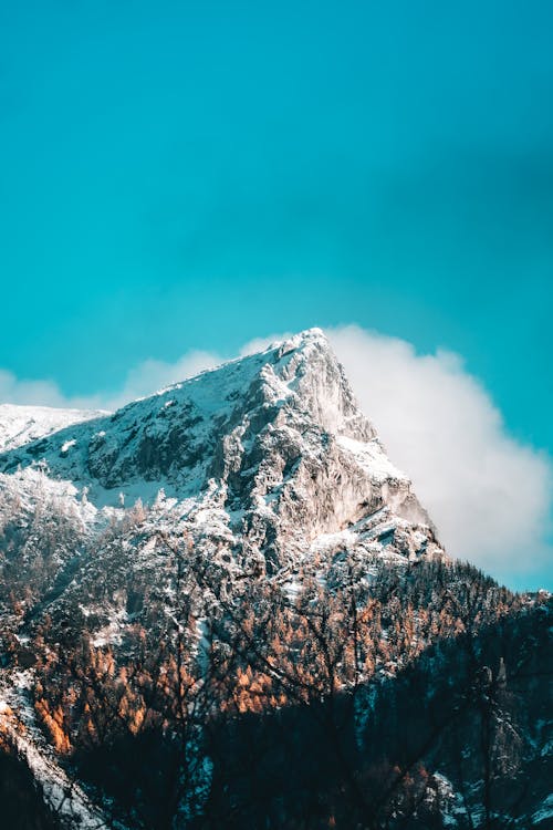Foto d'estoc gratuïta de cel blau, muntanya, muntanya coberta de neu