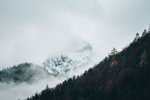 Free Snowy mountain peak shrouded in mist and fog with forest slopes. Stock Photo
