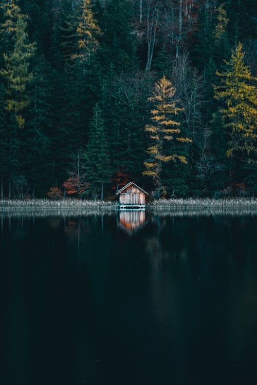 Wooden Cabin in Forest by Lake Shore