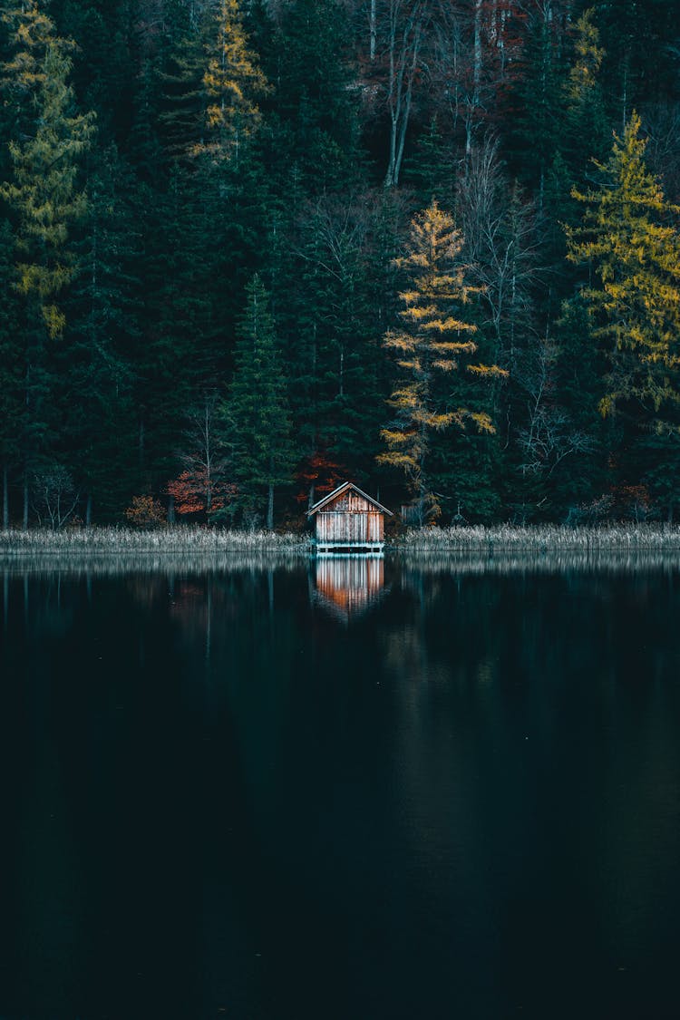 Wooden Cabin In Forest By Lake Shore