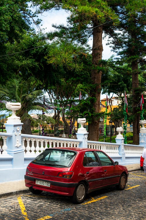 Foto profissional grátis de árvores, automóvel, calçamento