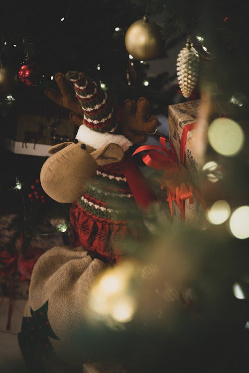 A Reindeer Stuffed Toy Beside Christmas Present