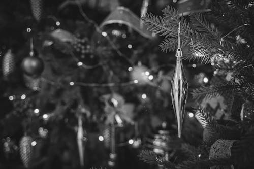 Free Grayscale Photo of Christmas Tree with Hanging Ornaments Stock Photo