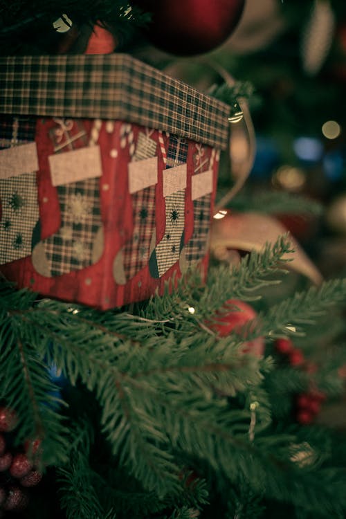 無料 クリスマス, クリスマスツリー, プレゼントの無料の写真素材 写真素材