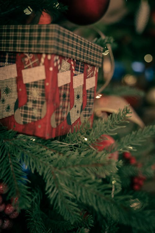 Close-up Photo of a Present on a Christmas Tree