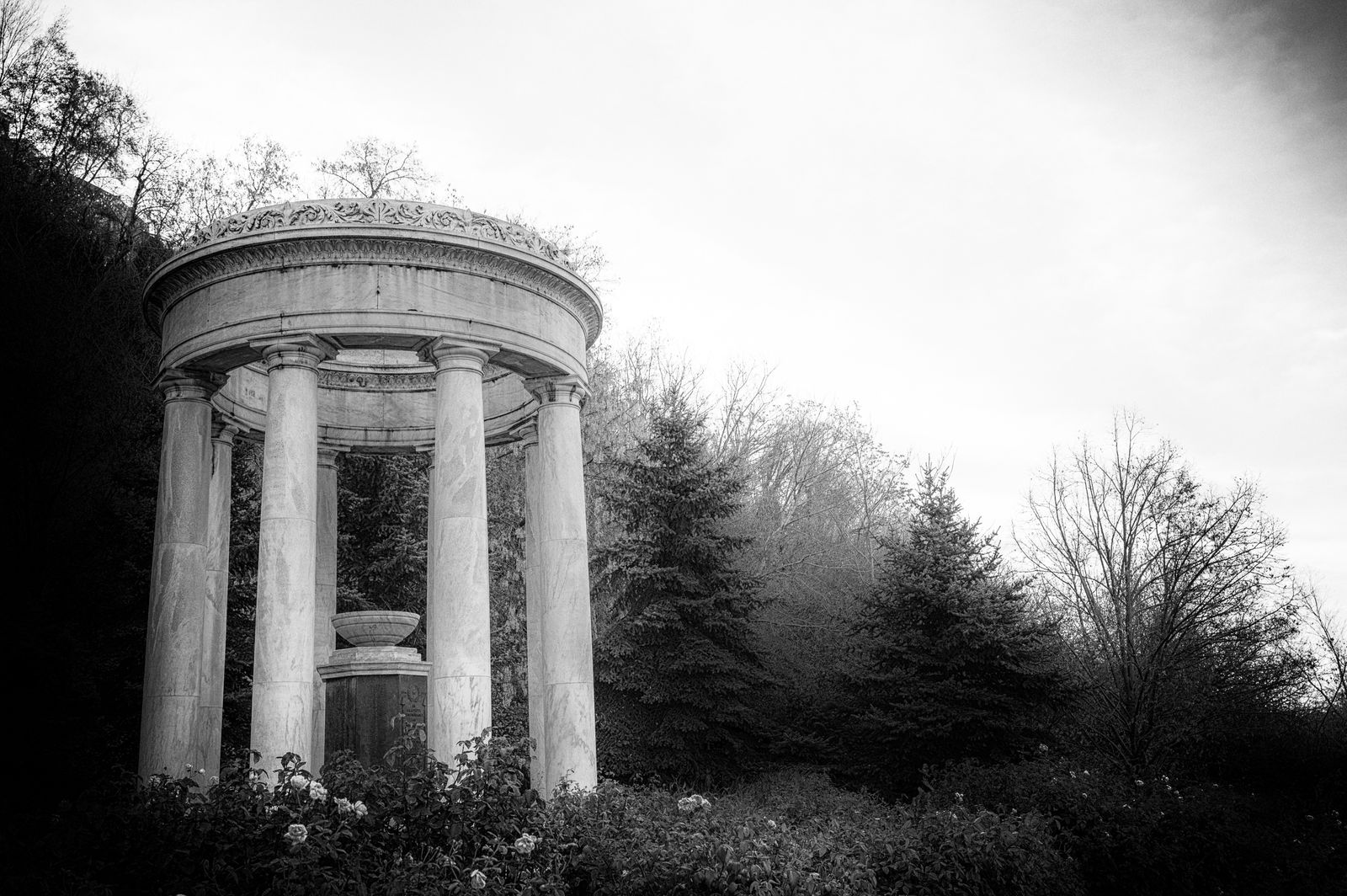 Die Besten Aeolus Fotos Kostenlos Downloaden Pexels Stock Fotos