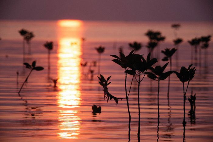 Serene spiritual landscape — sunset over water
