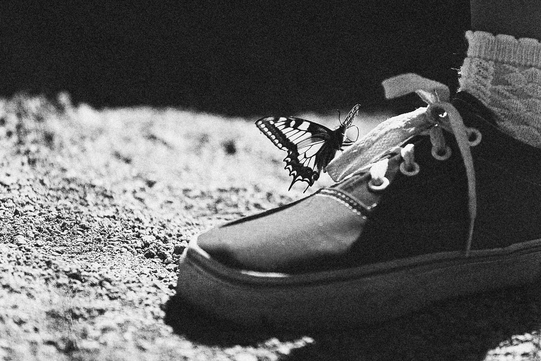 A butterfly perches on a shoe in a striking black and white image.