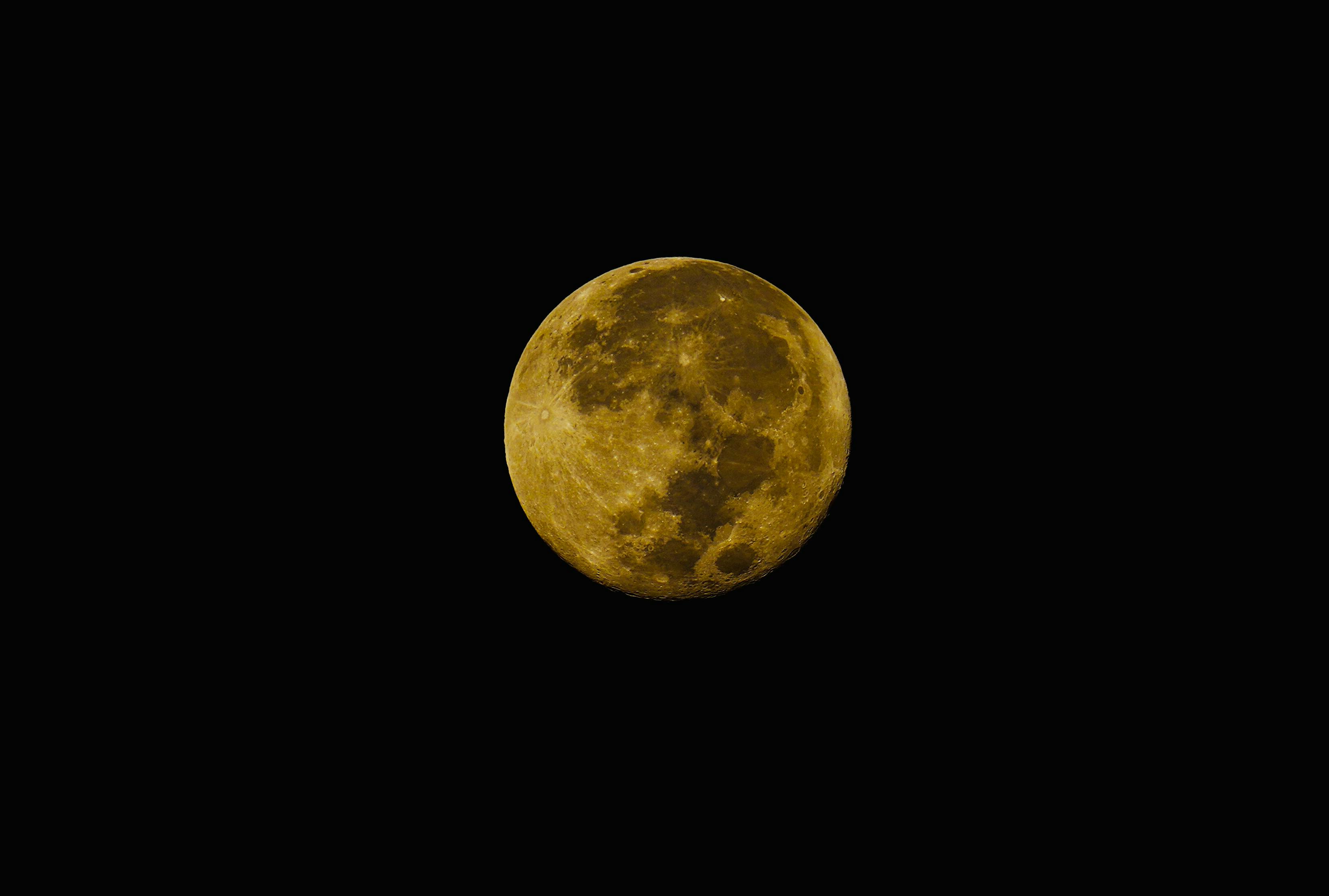 pexels-photo-10531646.jpeg?auto=compress\u0026cs=tinysrgb\u0026w=1600\u0026lazy=load