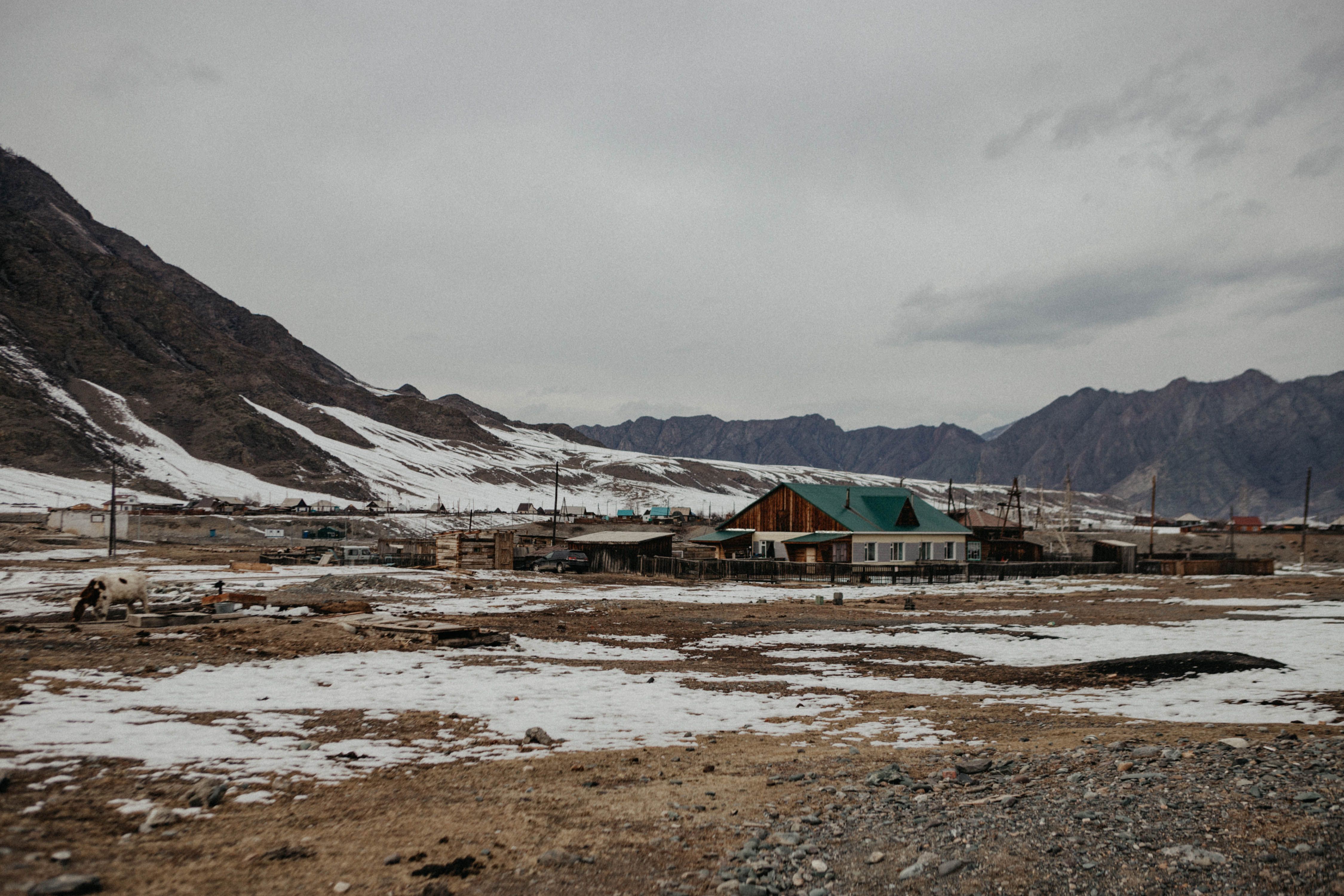 A serene view of a mountain village on a snowy mountainside in the Altai region, Russia.