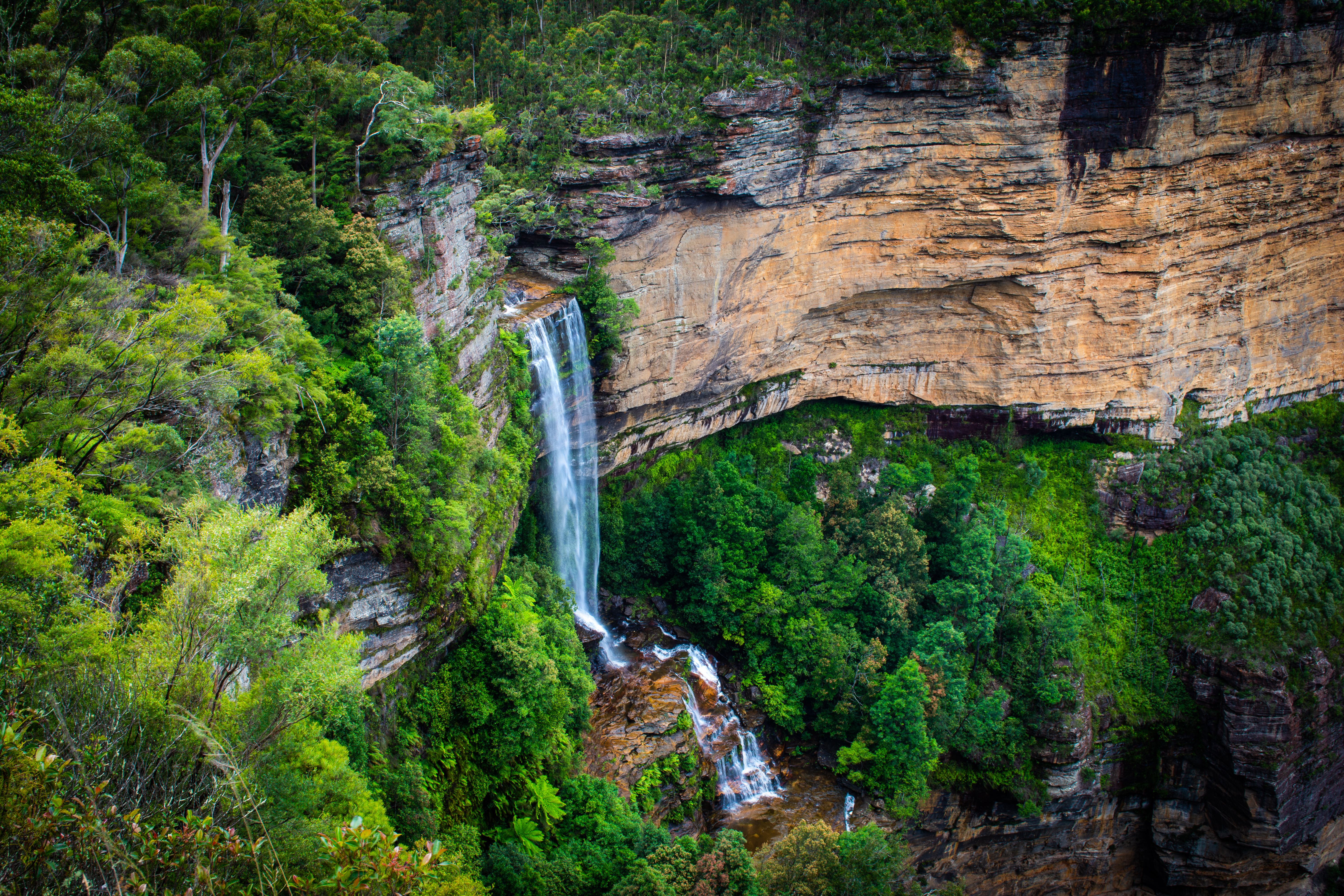 Szlak do Wentworth Falls