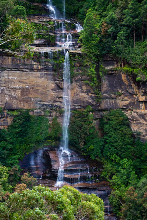 Waterfalls in the Middle of the Forest