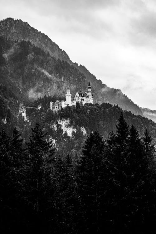 Photos gratuites de à flanc de montagne, arbres, étendue sauvage