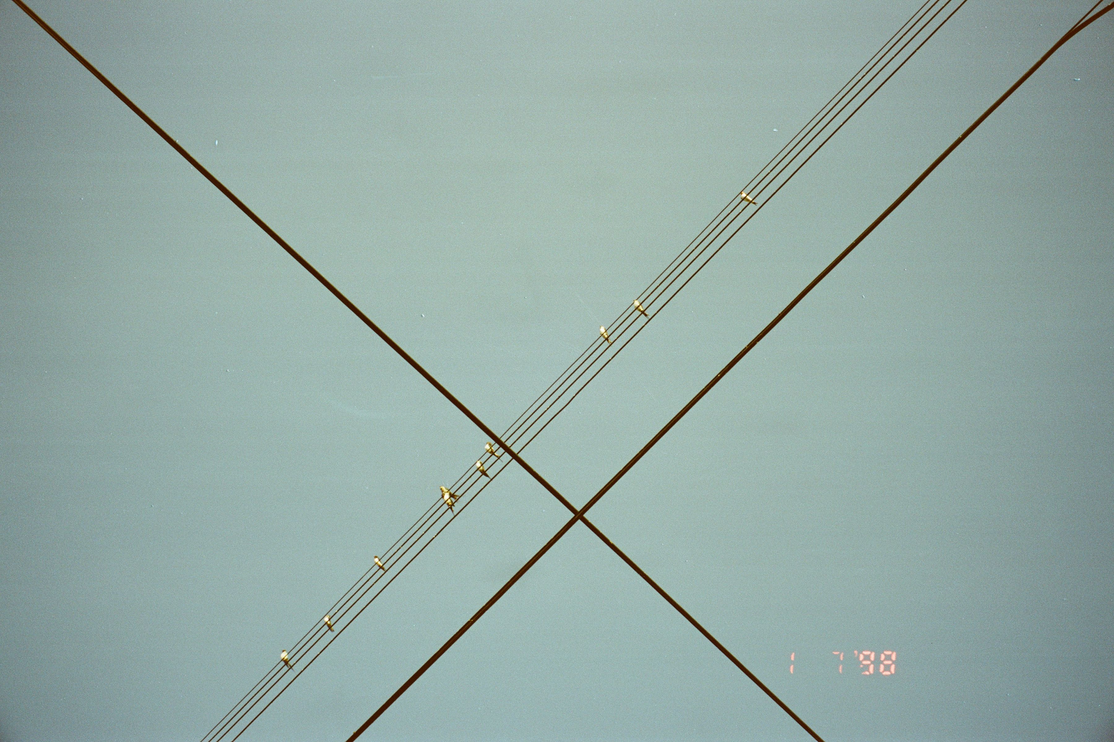 Featured image for: This Strange Line Goes All the Way Around My Room and I Do Not Know Why 10 by the Numbers: Key Stats