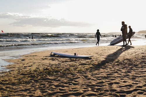 Immagine gratuita di fare surf, luce del sole, riva dell'oceano