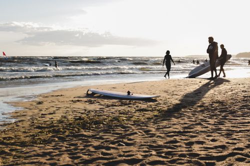 Free Surfers enjoy waves at sunset on a Saint Petersburg beach, capturing the thrill of water sports. Stock Photo