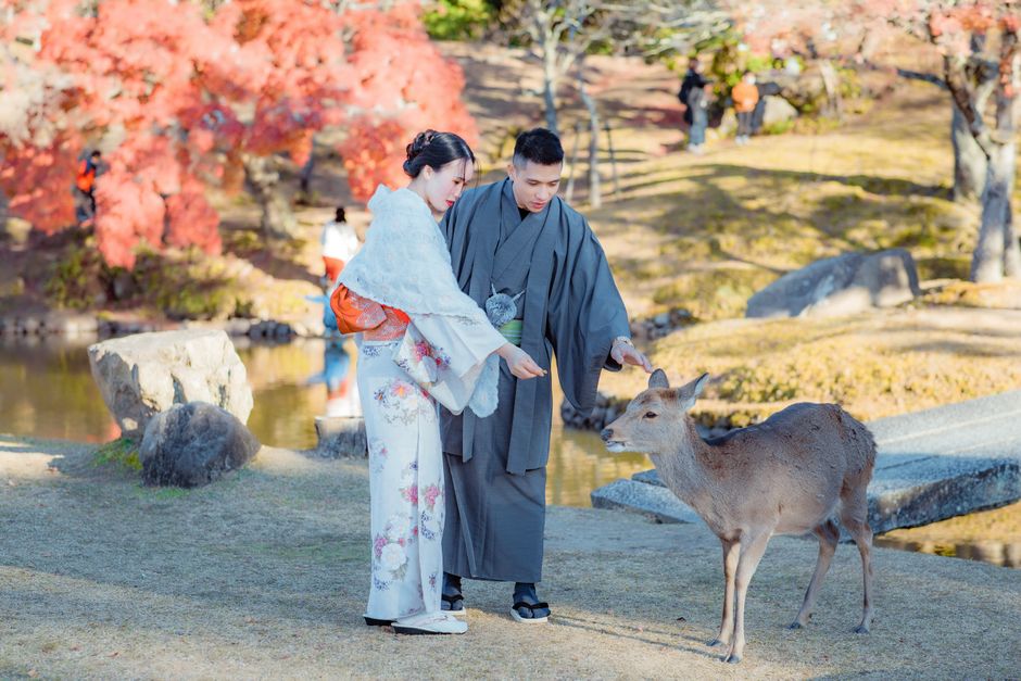 7 Hidden Day Trips from Osaka That Locals Love Nara Park deer bowing tourists feeding crackers