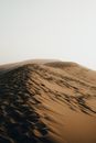 Sandy Dune in Desert