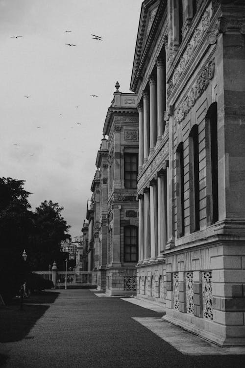 Photos gratuites de bâtiment, échelle des gris, extérieur