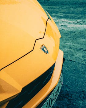 Close-up of a yellow sports car hood with emblem on a wet street.