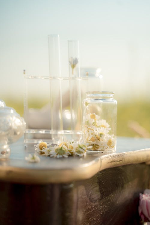 Flower Heads in Jar