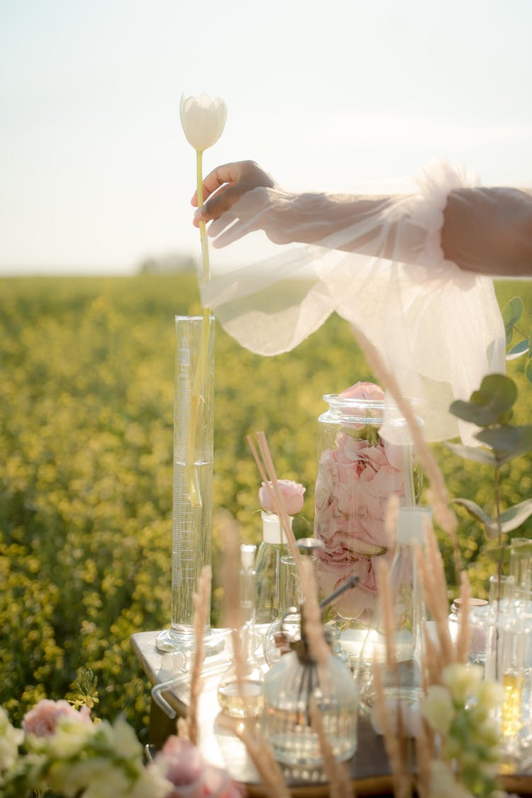 Flowers In Test Tubes