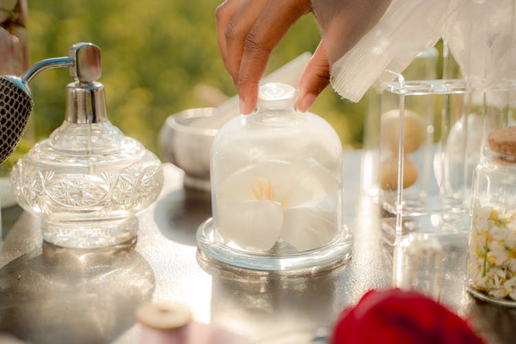 Hand Touching Glass Jar With Flower Inside