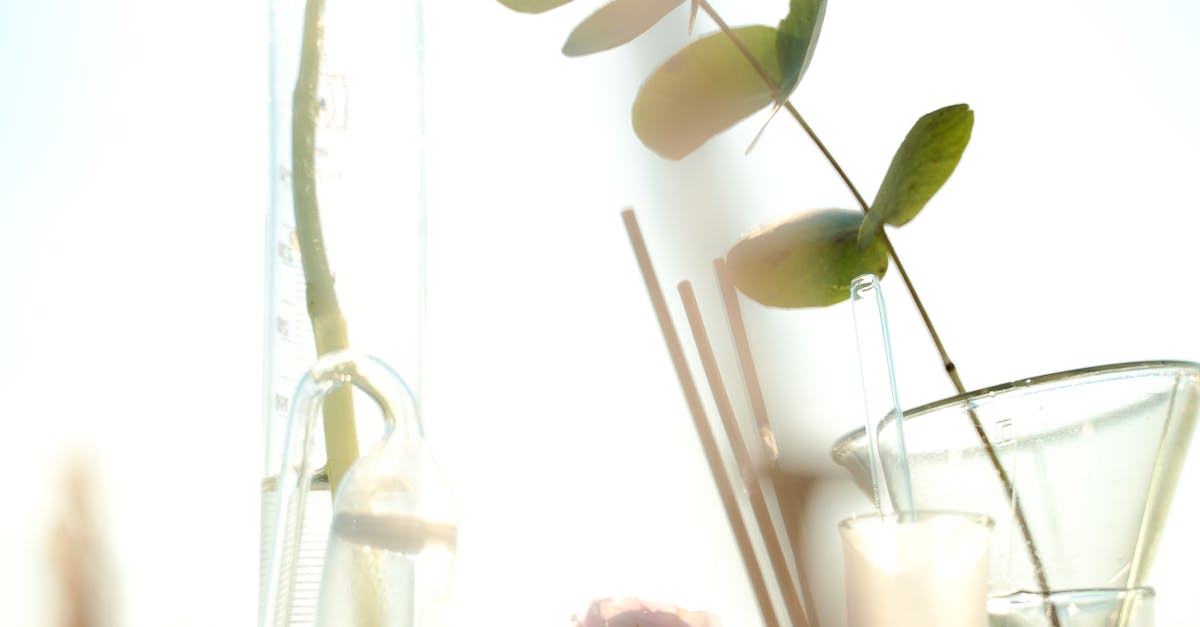 美國FDA人事大調整與小羅伯甘迺迪國會亮相 肥胖研究新突破與生技展精彩回顧