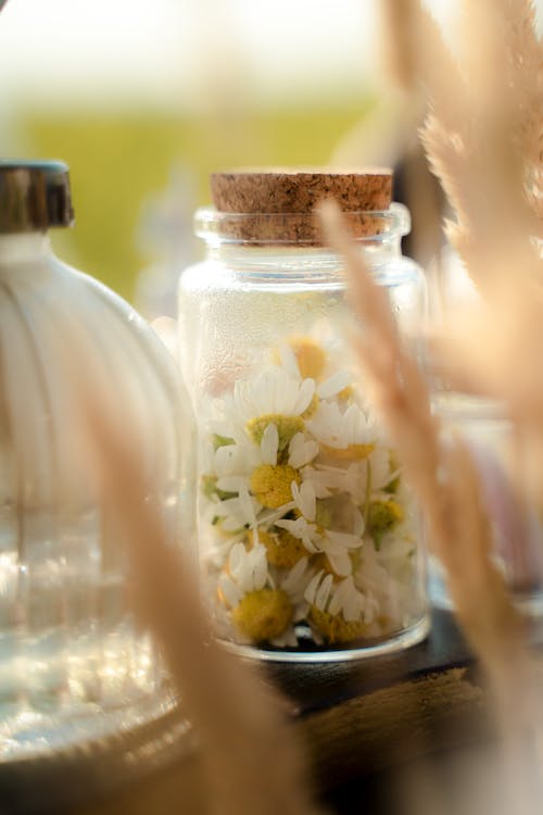 Free Flowers in Jar Stock Photo