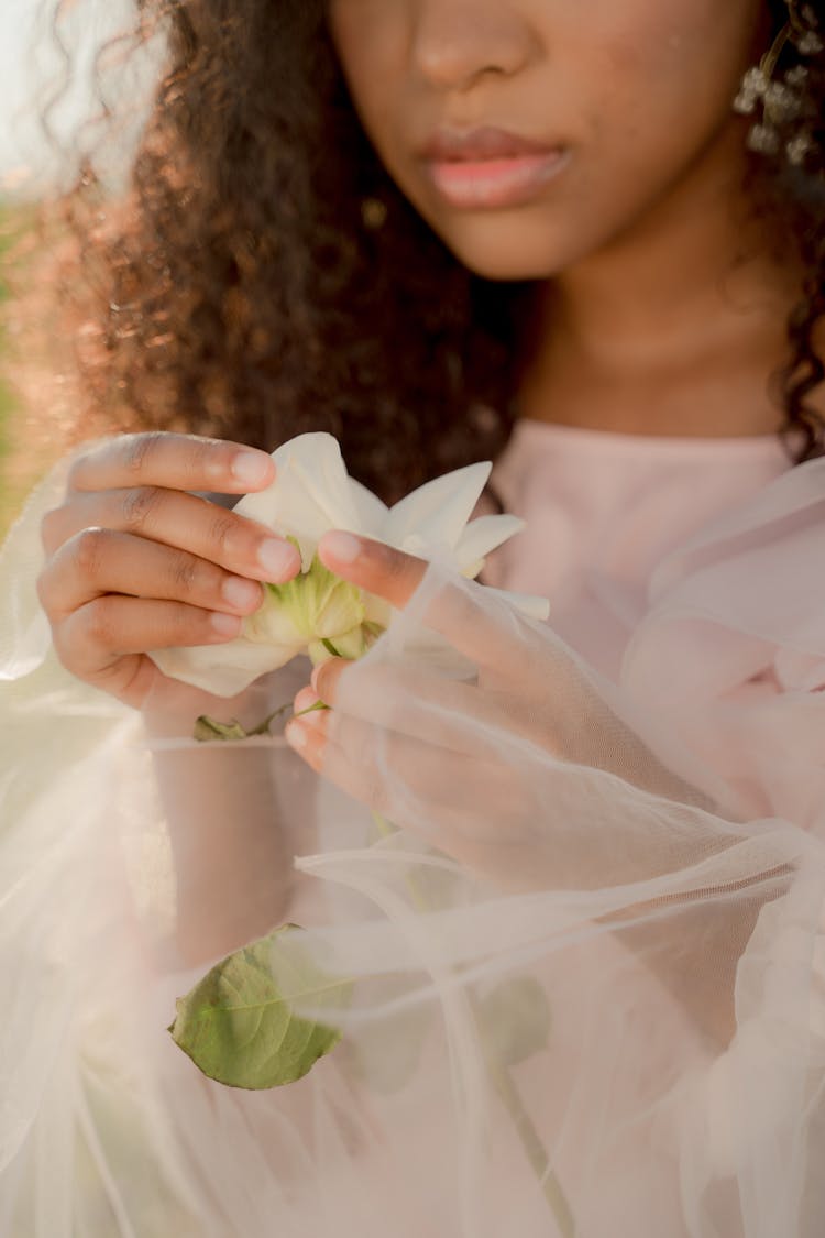 Woman In Tulle Dress Holding White Rose