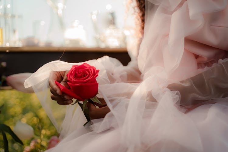 Woman Wearing Tulle Dress Holding Red Rose