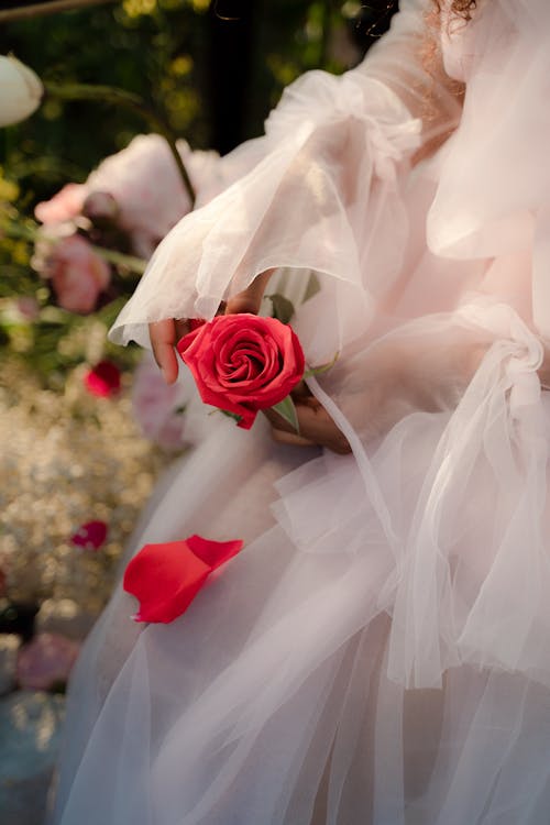 Woman Wearing Tulle Dress Holding Red Rose