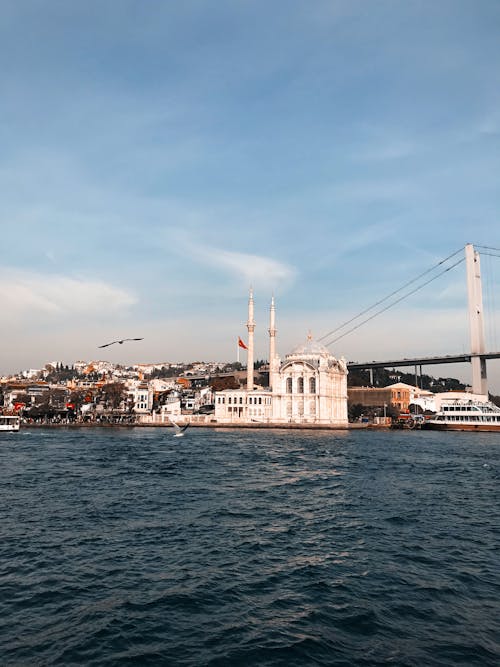 Fotobanka s bezplatnými fotkami na tému bosphorus, bytové domy, čajka