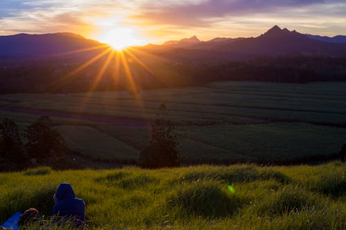 Foto stok gratis matahari terbenam, padang rumput, pegunungan