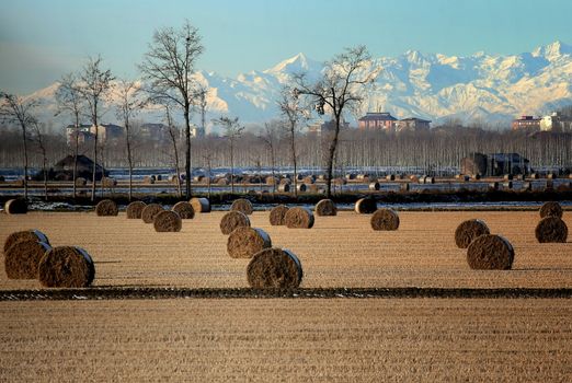 Scenic countryside with hay bales, trees, and distant mountains under a clear sky.