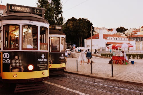 Two Black-and-yellow Trains at Daytime