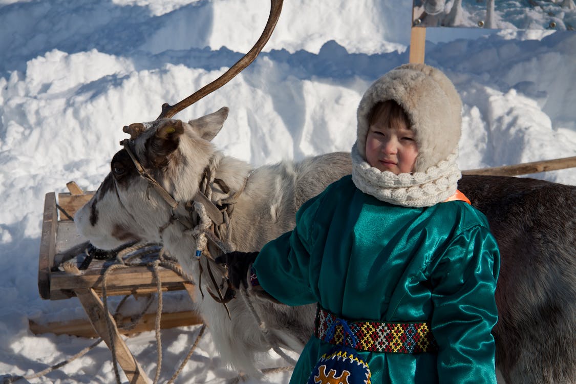Free Child with Reindeer Stock Photo