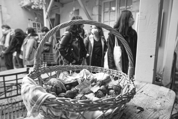 Panier en osier rempli de noix et personnes masquées dans une cour