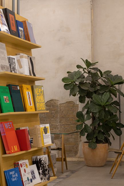 A warm, inviting bookstore corner featuring bookshelves and a lush potted plant.