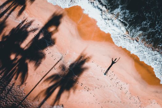 Captivating aerial view of a tropical beach with dramatic shadows from palm trees and a lone figure.