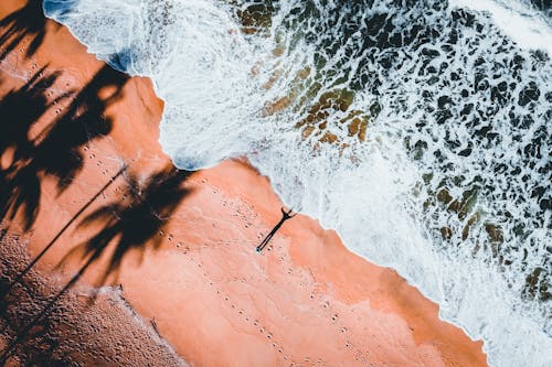Free Top View of Person Standing on Beach Shore Stock Photo
