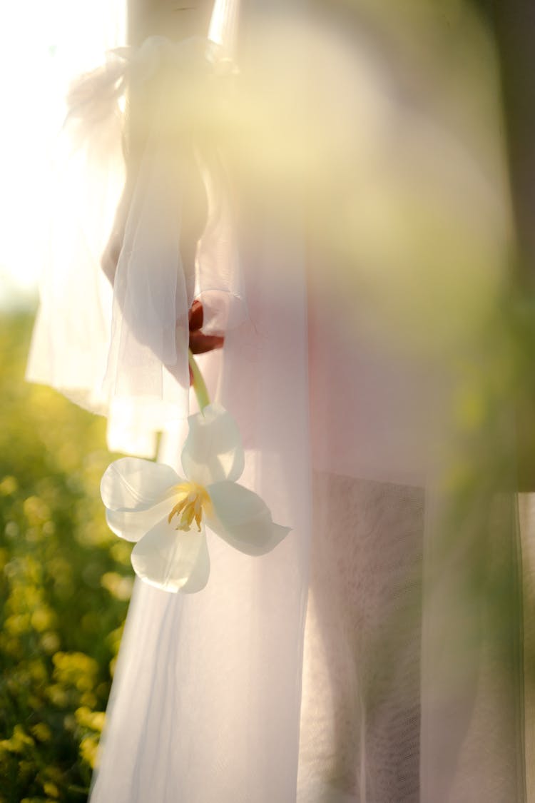 Silhouette Of Unrecognizable Standing Woman In White Dress Back Lit By Sunlight