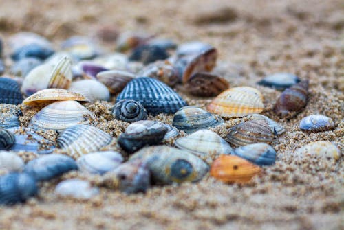 Free stock photo of background, beach, colorful Stock Photo