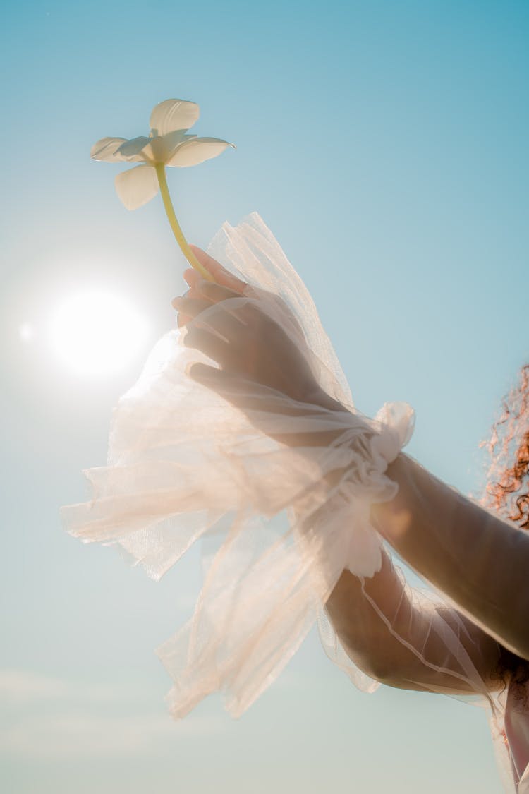 Woman Holding Flower 