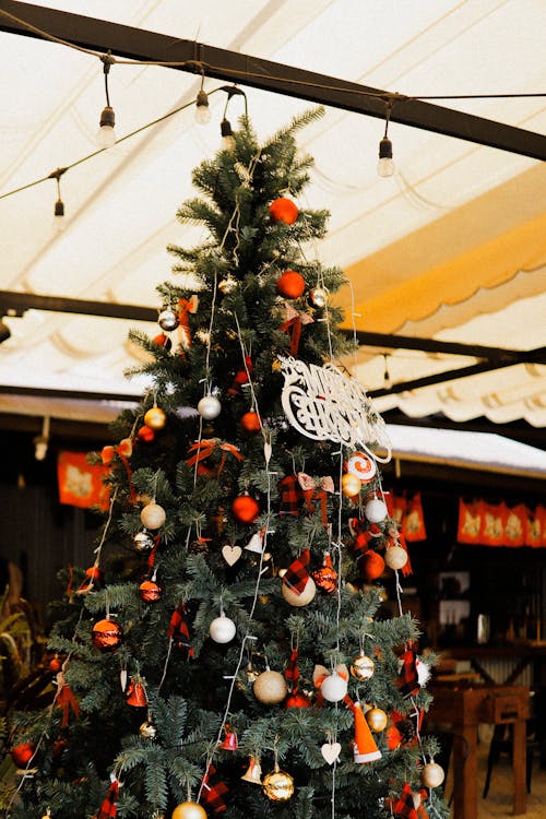 De franc Foto d'estoc gratuïta de Adorns de Nadal, arbre de Nadal, bombetes de corda Foto d'estoc